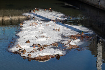 Winter view of the icy and snowy park and river landscapes in Leipzig, Saxony, Germany b