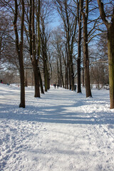 Winter view of the icy and snowy park and river landscapes in Leipzig, Saxony, Germany b