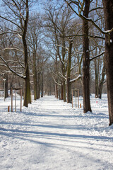Winter view of the icy and snowy park and river landscapes in Leipzig, Saxony, Germany b