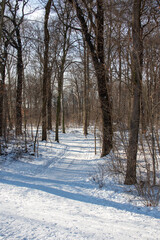 Winter view of the icy and snowy park and river landscapes in Leipzig, Saxony, Germany b