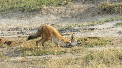 Some morning deodorant 