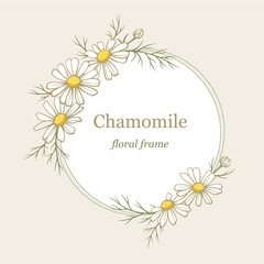 Chamomile flowers round frame, line art drawing. Daisy wild flowers in gentle pastel colors. Floral vector border