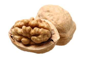 walnuts on a white background