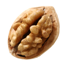 walnuts on a white background
