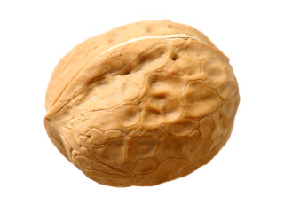 walnuts on a white background