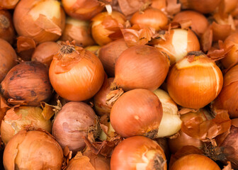 bulb onion in wicker baskets on market counter
