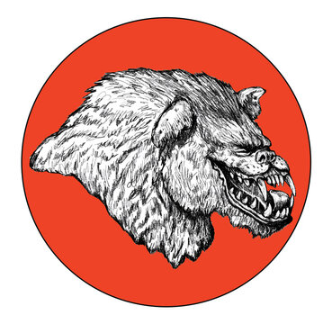 Werewolf howls on moon drawing. Fantasy monster illustration. Halloween template.