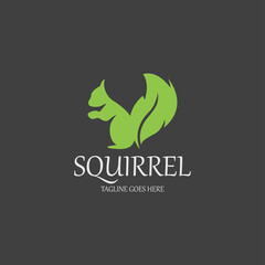 Squirrel logo design template. Vector illustration