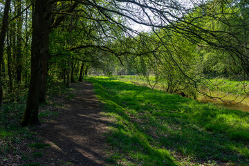 Fototapeta na wymiar Hiking trail in nature reserve 'Olens Broek' on a sunny day in spring (Antwerp, Belgium)