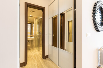 Apartment interior, corridor with mirror