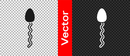 Black Sperm icon isolated on transparent background. Vector