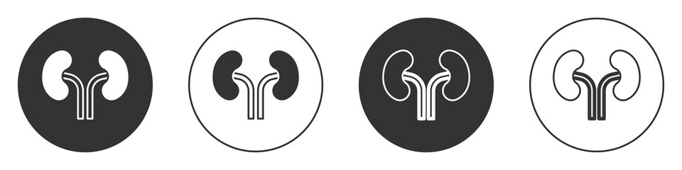 Black Human kidneys icon isolated on white background. Circle button. Vector