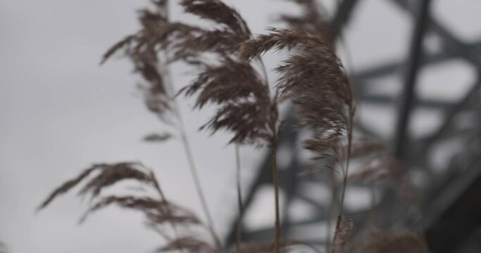 bridge over the river in the village of Ust-Luga on a cloudy winter day
