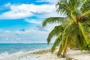 Maldives. Natural tropical Sea Beach landscape. Crystal clear sea wave and white sand beach. Relax on clean sunny Sea Beach long loop