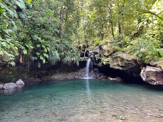 Bassin Paradis Guadeloupe Caraïbes Antilles Françaises