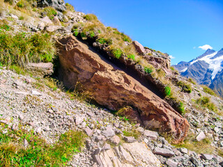 Naklejka premium A closeup picture of rocks .