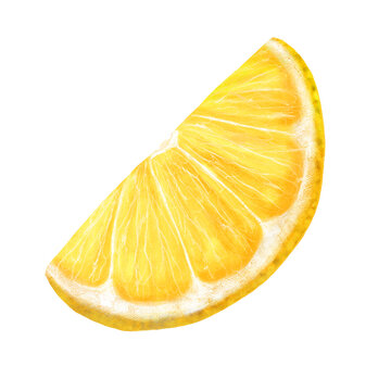 Half slice of lemon, stock illustration on a white background, in vintage style, acrylic paints, picture, clipart, template, wallpaper