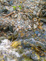 Mountain stream on a summer day