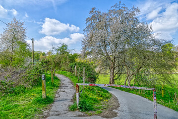 Wanderweg an der Ruhr bei Hattingen