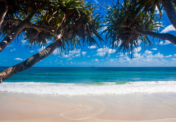Obraz na płótnie Canvas Beautiful Landscape of Main Beach, Byron Bay, New South Wales, Australia.