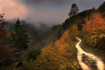 autumn fog in the mountains on a colorful pathway