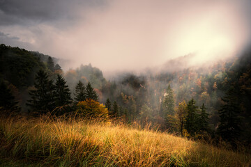 misty autumn morning in the mountains