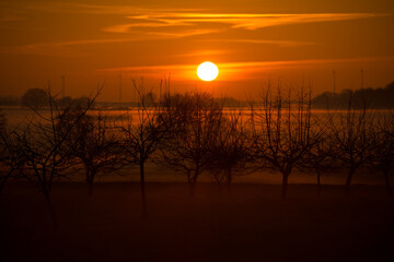 sunset with apple trees in winter