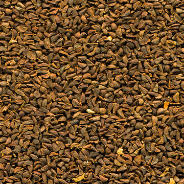 Close up brown harmal seed texture, uzerlik tohumu