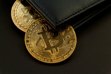 bitcoin is place on the wallet, cryptocurrency trading technology concept.