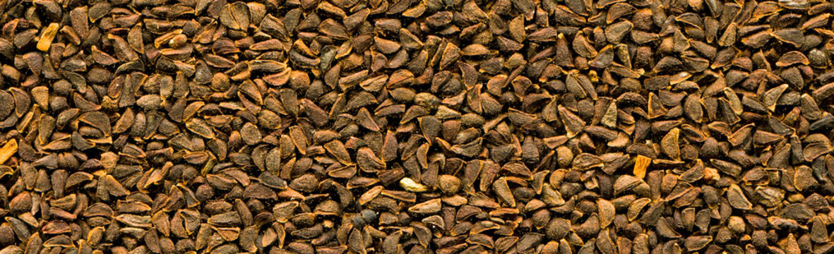 Close up brown harmal seed texture, uzerlik tohumu