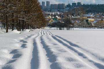 Car tracks on white snow. A row of larch trees. Background - one-story and multi-story city houses, sky. Winter season concept.