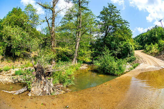 road view in igneada longoz forest