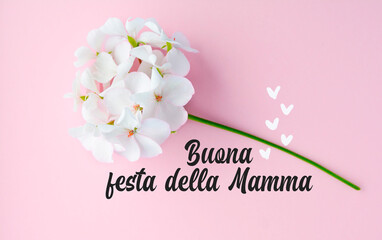 Happy Mother day text in italian flower composition Greeting Card in soft pink colors	
