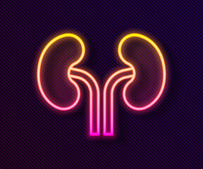 Glowing neon line Human kidneys icon isolated on black background. Vector