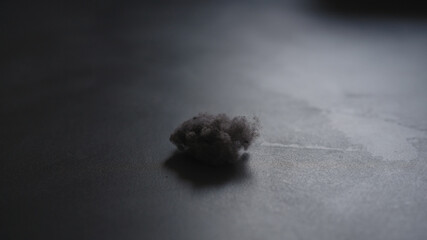 closeup shot of dust ball on concrete floor