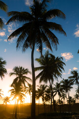 Fototapeta na wymiar Beautiful sunset among palm trees. Beach vacation landscape.