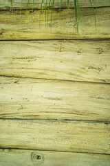 Maldives. Closeup of beige bamboo texture, pan shot
