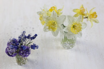 View through glass with water drops on yellow and blue flower bouquets in vases on white background