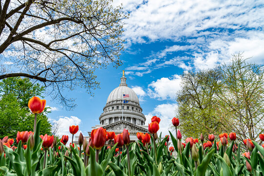 Wisconsin State Capitol Building - Madison, WI
