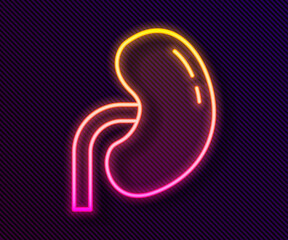 Glowing neon line Human kidney icon isolated on black background. Vector
