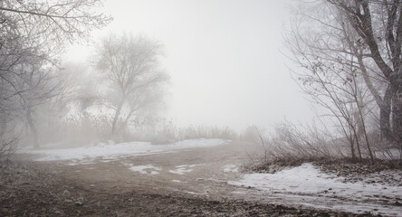 Obraz na płótnie Canvas Mystical winter landscape with fog
