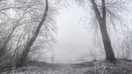 Mystical winter landscape with fog