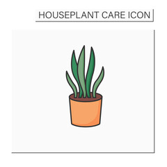 Sansevieria trifasciata color icon. Home gardening. Tropical plant for interior decor. Beautiful home plant in pot. Houseplant care concept.Isolated vector illustration
