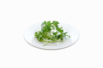 parsley on a white plate