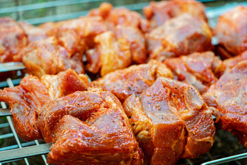 Freshly juicy marinated meat on the grill. Cooking food over an open fire and coals. Picnic in nature. Fresh meat for the barbecue