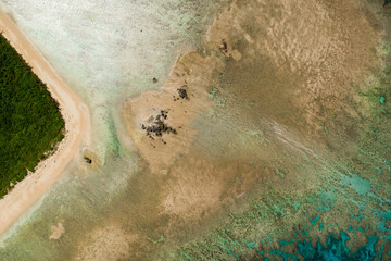 ニシ浜（波照間島）