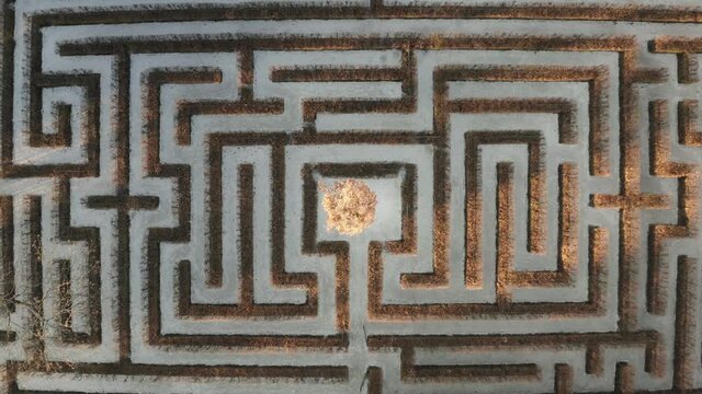 Geometrical background, top down view of a symmetrical labirynth. Aerial shot of a green maze, path and challenge concept.