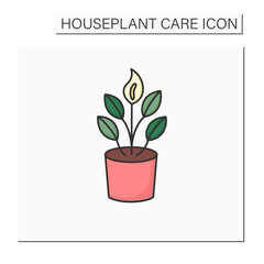 Spathiphyllum color icon. Home gardening. Tropical plant interior decor. Beautiful home plant in pot. Houseplant care concept.Isolated vector illustration