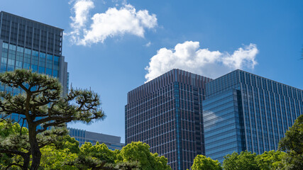 Fototapeta premium 高層ビルと街路樹と青空の風景。日本、東京都千代田区。