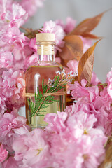 Massage oil with herbal flowers. Skin and body care.Beautiful pink flowers background.Copy space.